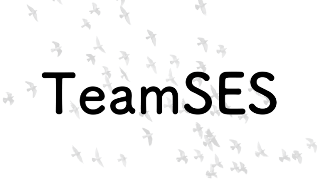 808ハチマルハチ-TeamSESentry-768x430